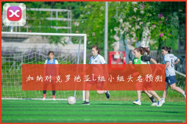 加纳对克罗地亚L组小组头名预测