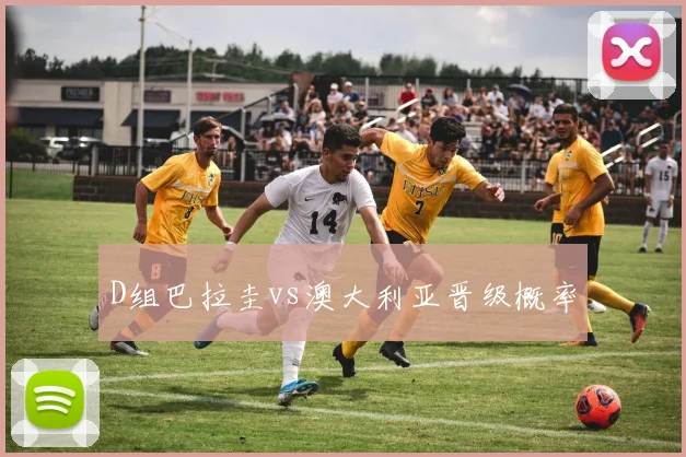 D组巴拉圭vs澳大利亚晋级概率