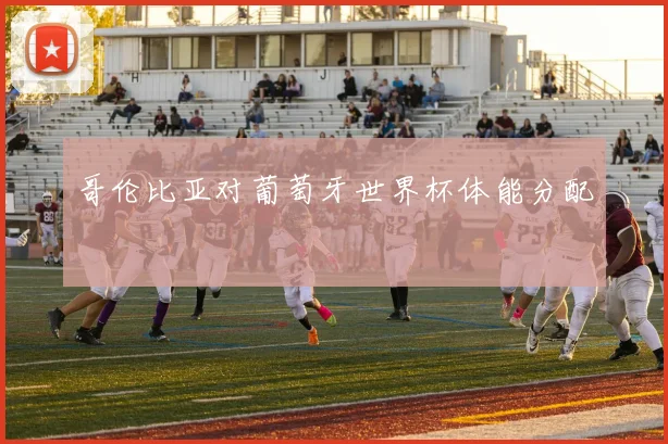 哥伦比亚对葡萄牙世界杯体能分配