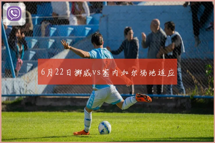 6月22日挪威vs塞内加尔场地适应