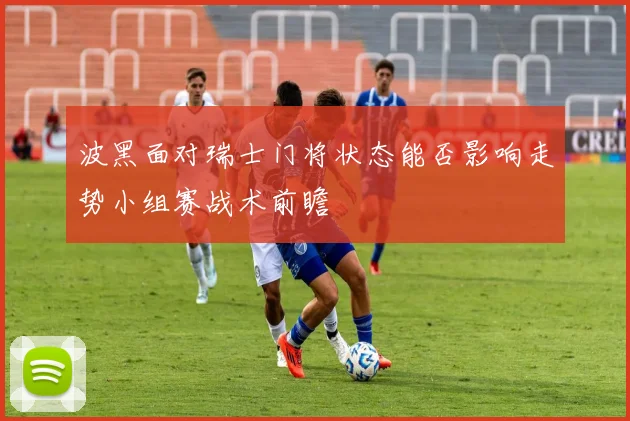 波黑面对瑞士门将状态能否影响走势小组赛战术前瞻