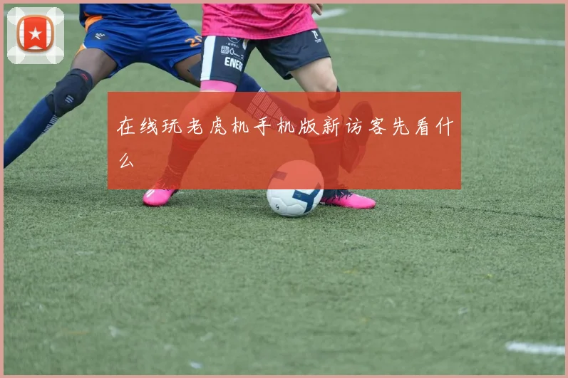 在线玩老虎机手机版新访客先看什么