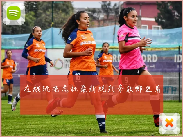 在线玩老虎机最新规则条款哪里看