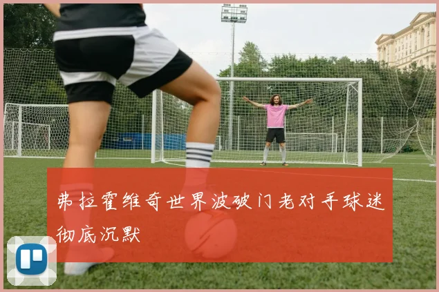 弗拉霍维奇世界波破门老对手球迷彻底沉默