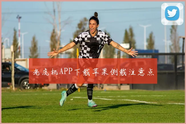 老虎机APP下载苹果侧载注意点