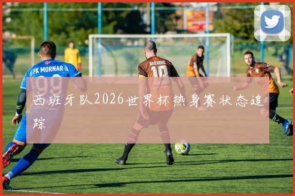 西班牙队2026世界杯热身赛状态追踪