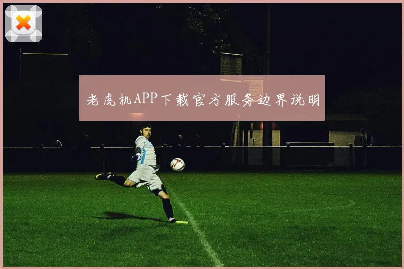 老虎机APP下载官方服务边界说明