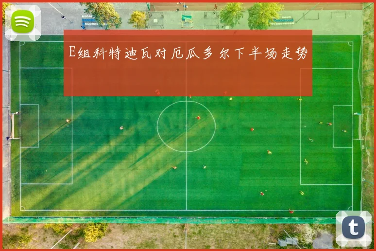 E组科特迪瓦对厄瓜多尔下半场走势