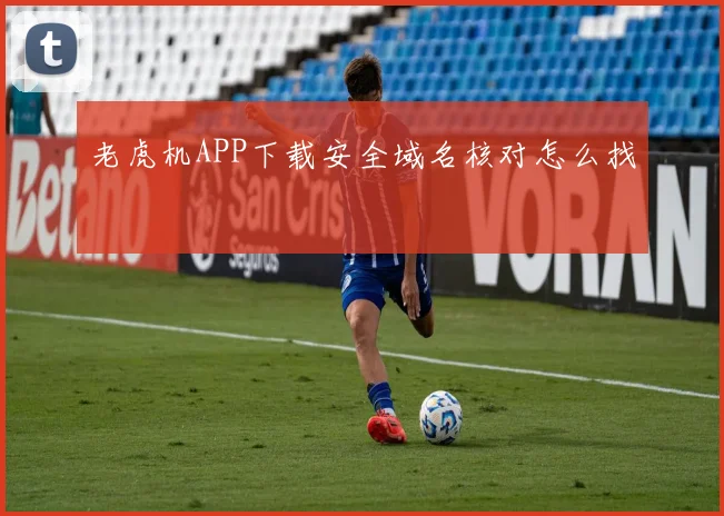 老虎机APP下载安全域名核对怎么找